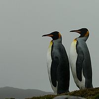 2009-03-14 10-42-27