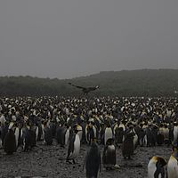 2009-03-14 10-59-56