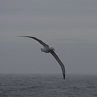 2009-03-10 14-02-28