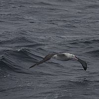 2009-03-10 14-07-44