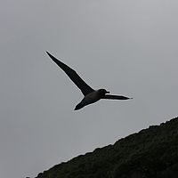 2009-03-13 08-49-58