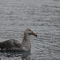 2009-03-13 08-59-15