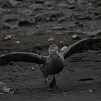 2009-03-13 09-39-25