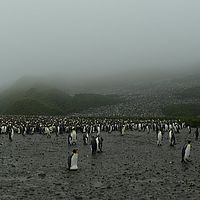 2009-03-14 11-01-57