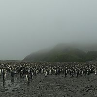 2009-03-14 11-02-41