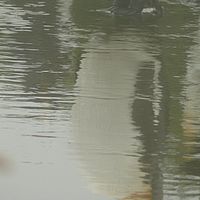 2009-03-14 12-00-28