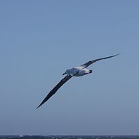 2009-03-22 13-51-12