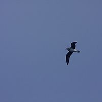 2009-03-24 12-46-05