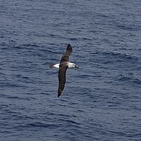 2009-03-28 09-09-28