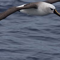 2009-03-28 09-19-29