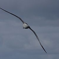 2009-03-28 09-20-12