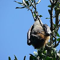 2008-10-10 15-48-44