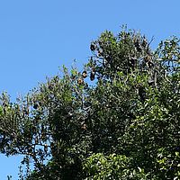 2008-10-10 15-49-15