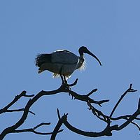 2008-10-10 15-50-18