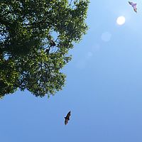 2008-10-10 15-50-38