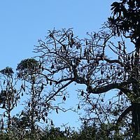 2008-10-10 15-51-22