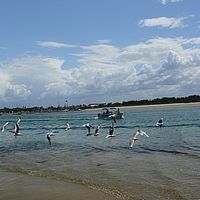 2008-10-11 13-30-45