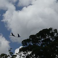 2008-10-13 11-18-30