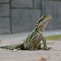 2008-10-13 12-56-21