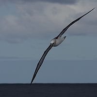 2009-03-28 10-06-34