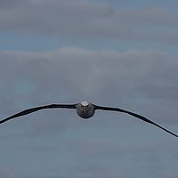 2009-03-28 10-07-29