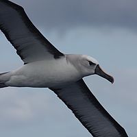 2009-03-28 10-07-31