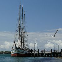 2008-10-11 13-29-11