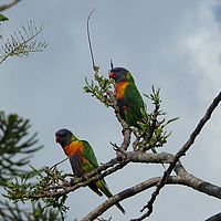 2008-10-15 16-06-22