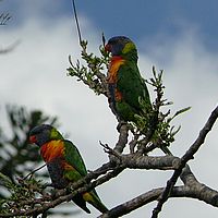 2008-10-15 16-07-29