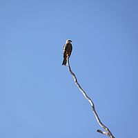 2008-10-22 07-44-43