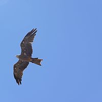 2008-10-23 10-13-23