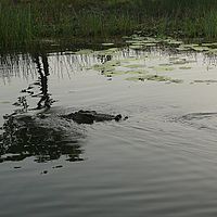2008-10-29 06-53-58
