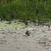 2008-10-29 07-07-48