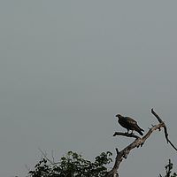 2008-10-29 07-24-42