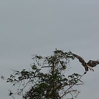 2008-10-29 07-25-19