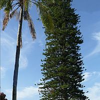 2008-10-15 15-33-26
