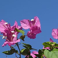 2008-10-23 07-34-33