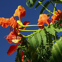 2008-10-24 07-01-05