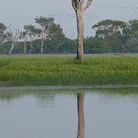 2008-10-29 06-41-52