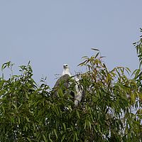 2008-10-29 08-04-32