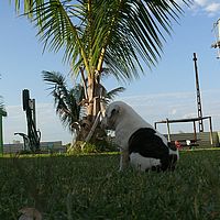 2008-10-31 06-47-00