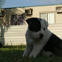 2008-10-31 06-55-02
