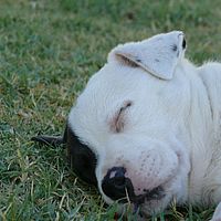 2008-10-31 07-09-58