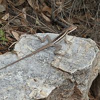2008-10-31 17-10-43