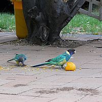 2008-11-02 06-31-15