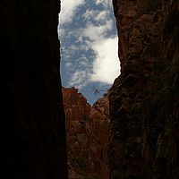 2008-10-31 16-35-53