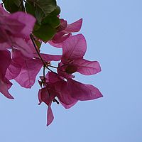 2008-11-02 06-29-14