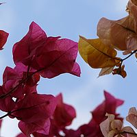 2008-11-02 06-29-48