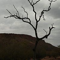 2008-11-02 09-10-01