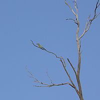 2008-11-02 17-14-50